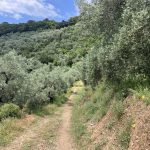 Off-Road avontuur Franse Vogezen