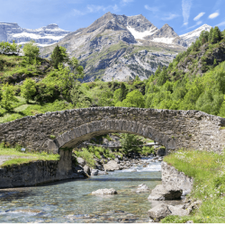 pyreneeeen